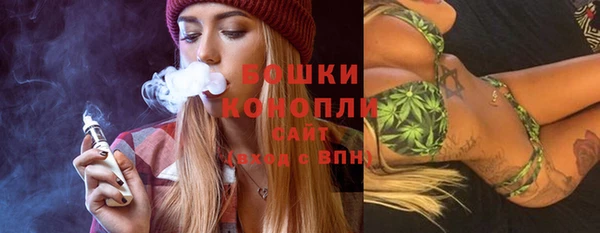 прущие грибы Гусев