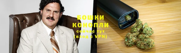 прущие грибы Гусев