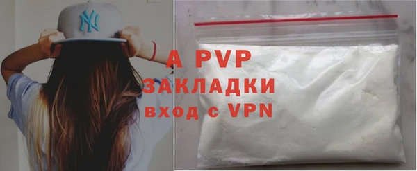 прущие грибы Гусев