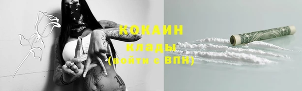 прущие грибы Гусев