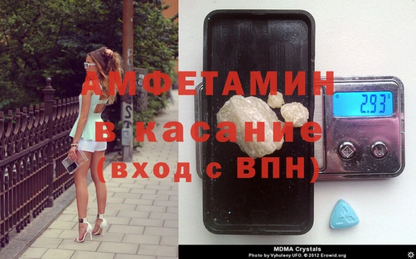 прущие грибы Гусев