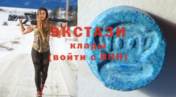 прущие грибы Гусев
