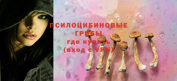прущие грибы Гусев