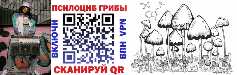 Купить закладки  Чайковский  Галлюциногенные грибы ЛСД 